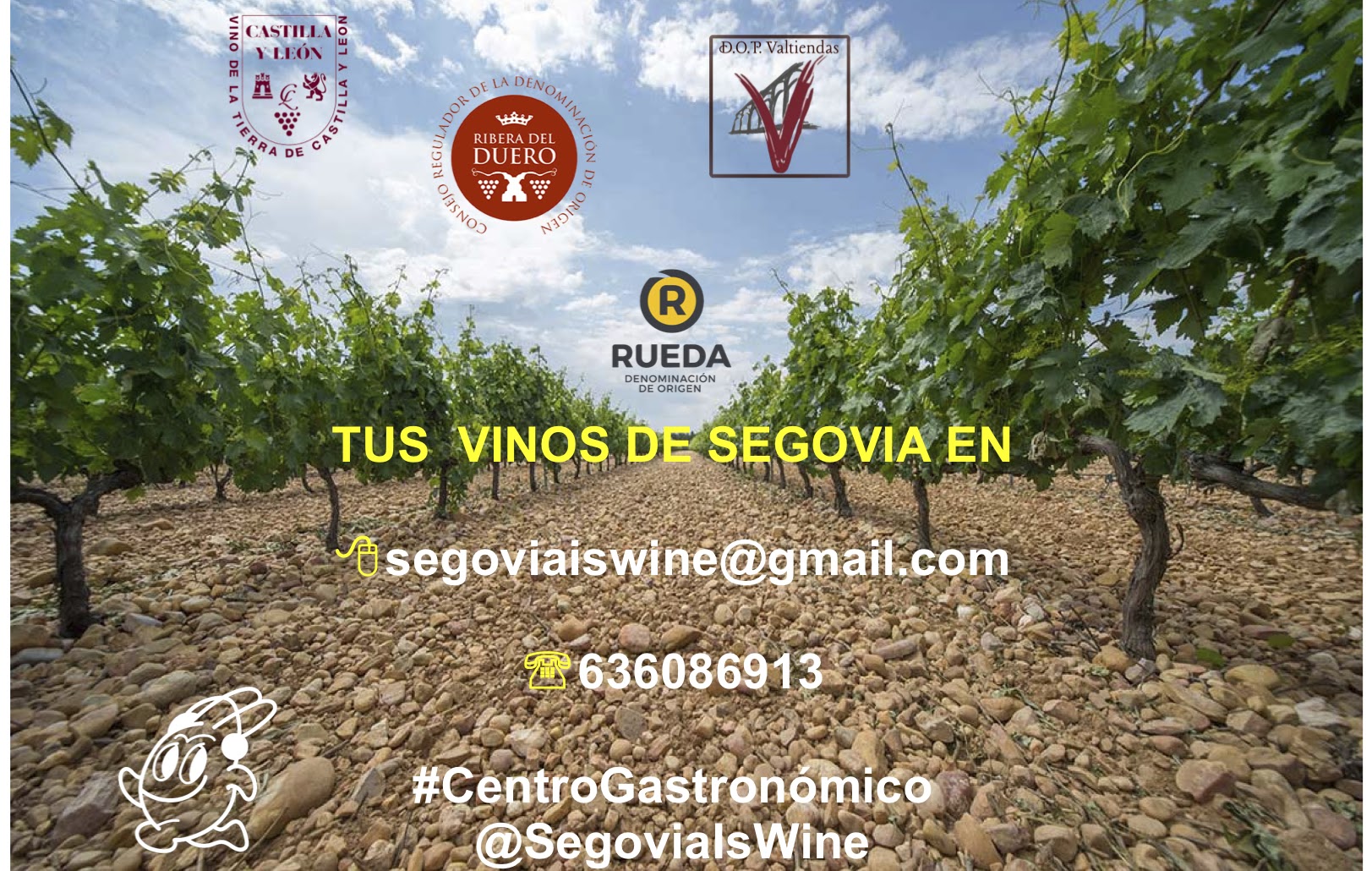 Centro Gastronómico Segovia Is Wine