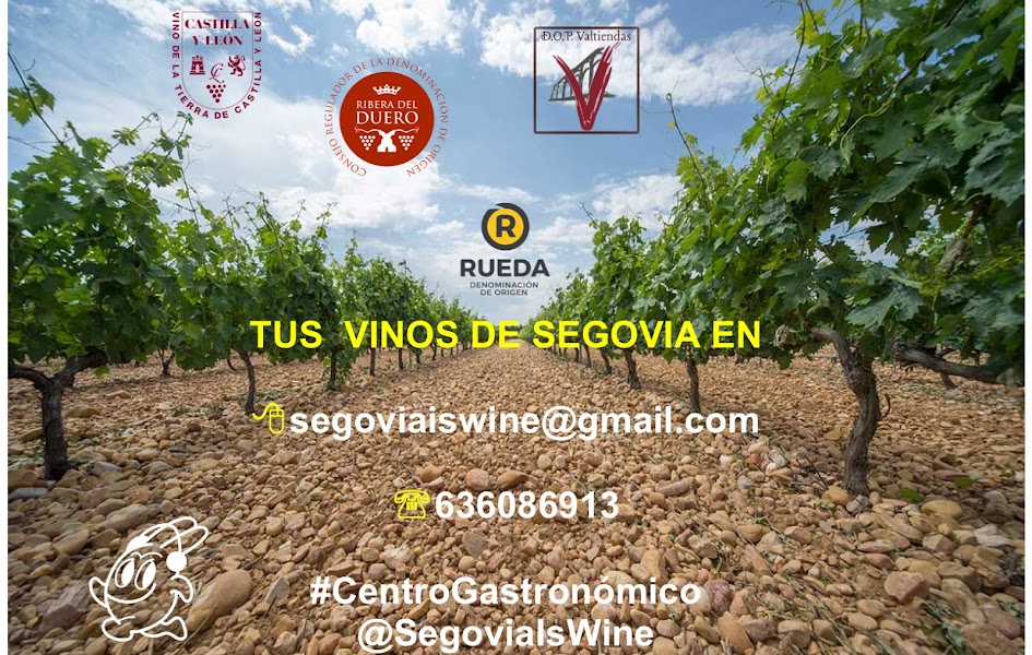 Centro Gastronómico Segovia Is Wine