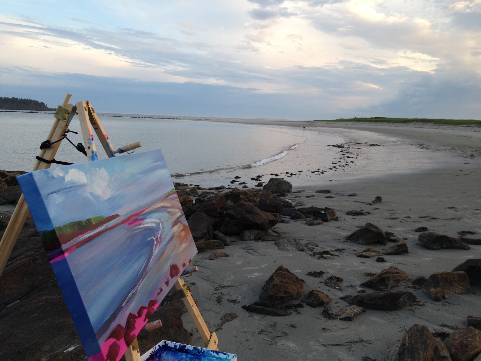 Cape Elizabeth Land Trust Paint for Preservation