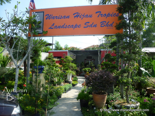 My Garden Directory - Reviews of Plant Nurseries & Garden Supplies: Soon Lee  Landscape - Lot 21 Selangor Green Lane