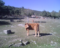 Grupo Mágico de Senderismo Miércoles con Antonio Excursión 018