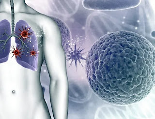 corona 15 31 08 2020