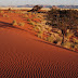 Namibie - la savane du Namib