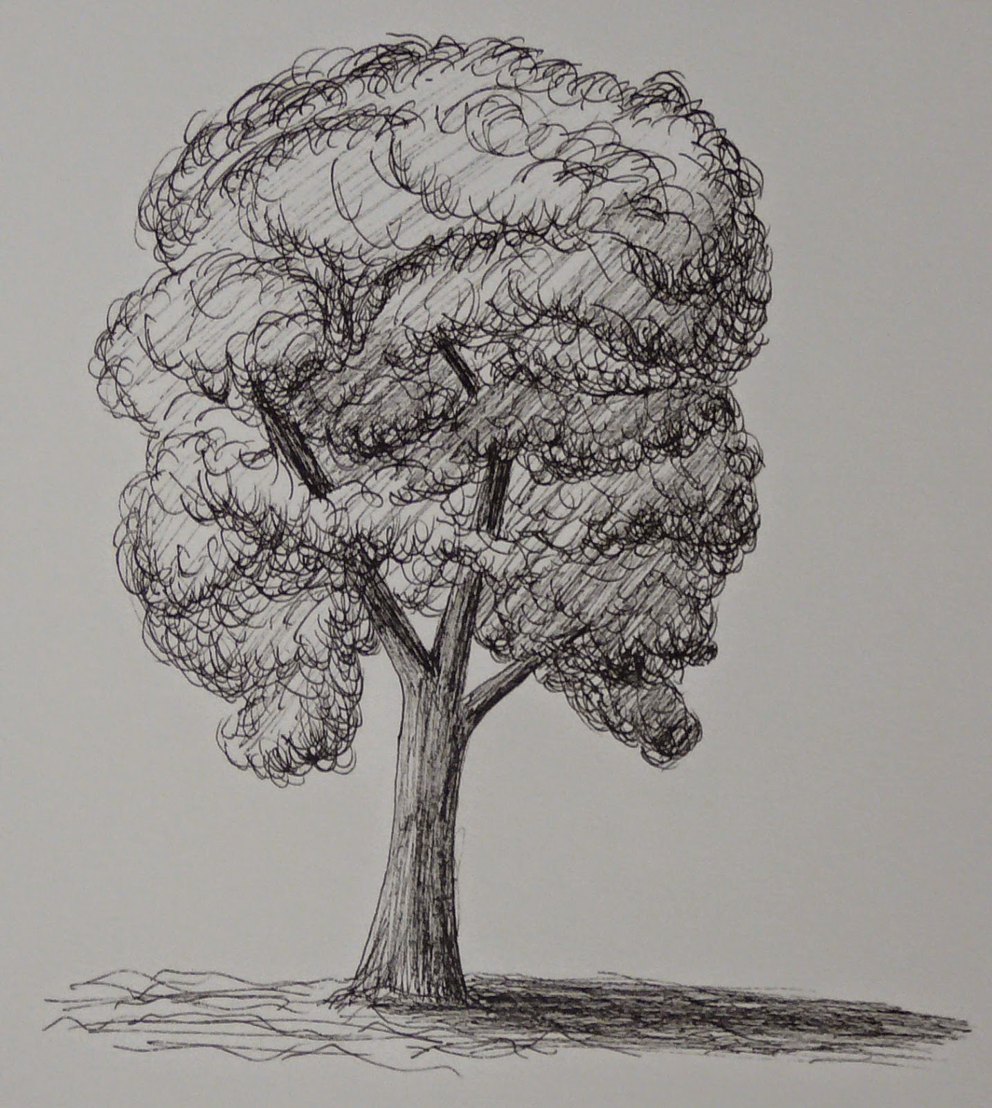 Art with a view: Drawing of Trees
