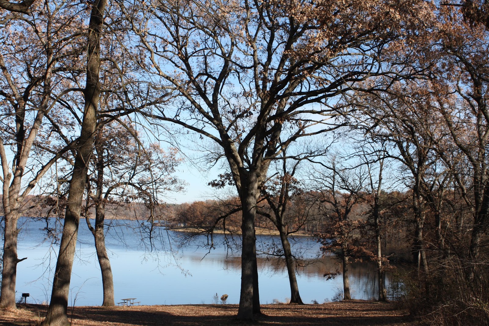 A Little Time and a Keyboard Afternoon at Rock Cut State Park in Illinois