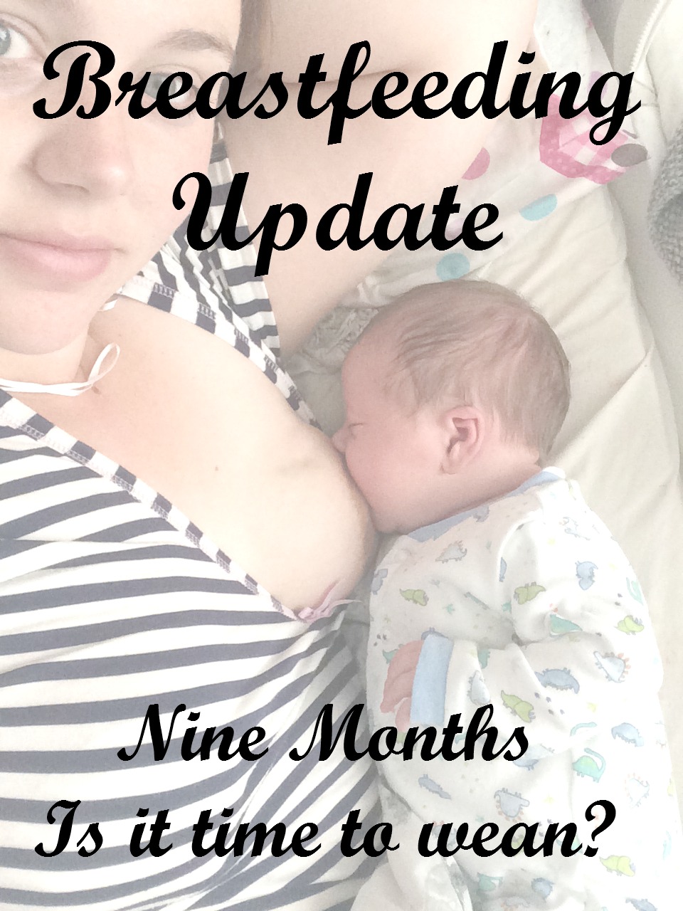 Nine Month Breastfeeding Update Is It Time To Wean? Beth Owen