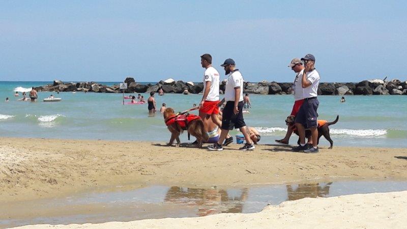 GUARDIA COSTIERA, MARE PIÙ SICURO IN SINERGIA  CON I BAGNINI A QUATTRO ZAMPE