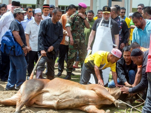 Arwah hukum korban untuk Hukum Berkurban