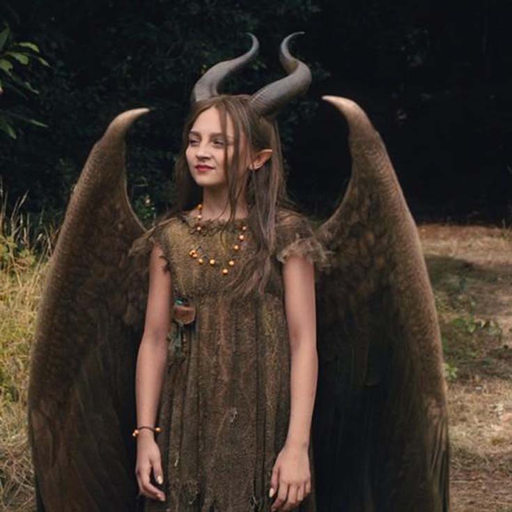 Diy Maleficent Wings