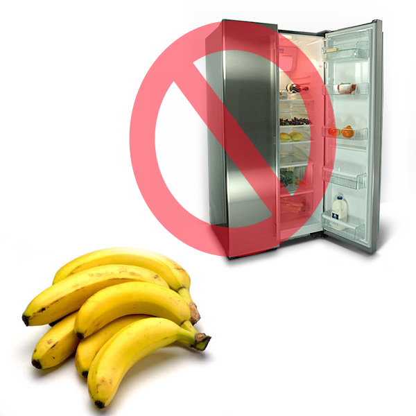 Inside the Bipolar Mind April 2011