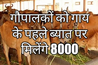सहकारी दुग्ध संघ