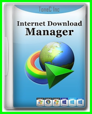 Internet Download Manager 6.35.12 [ES][Activado][20/11/2019]