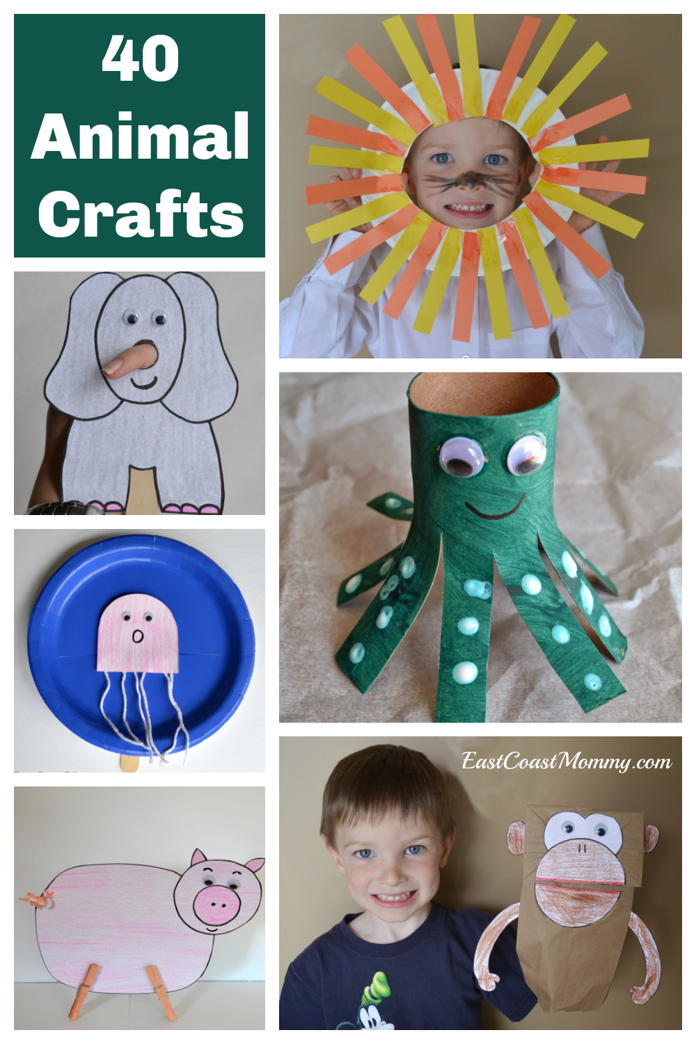 Wise owls class: animals art and craft East Coast Mommy