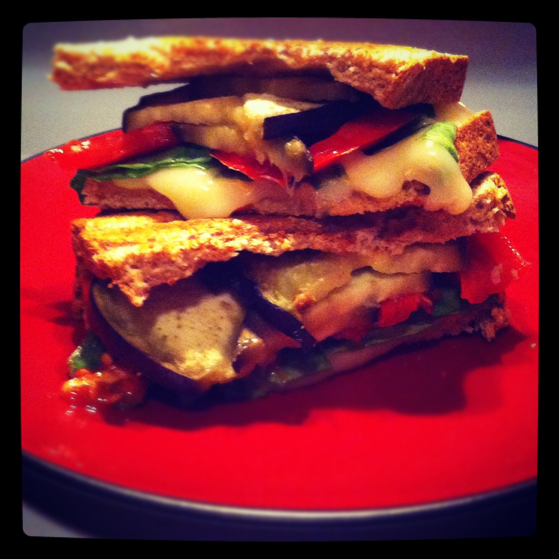 Navigating a Cluttered Kitchen Sandwich Week Day Five Italian