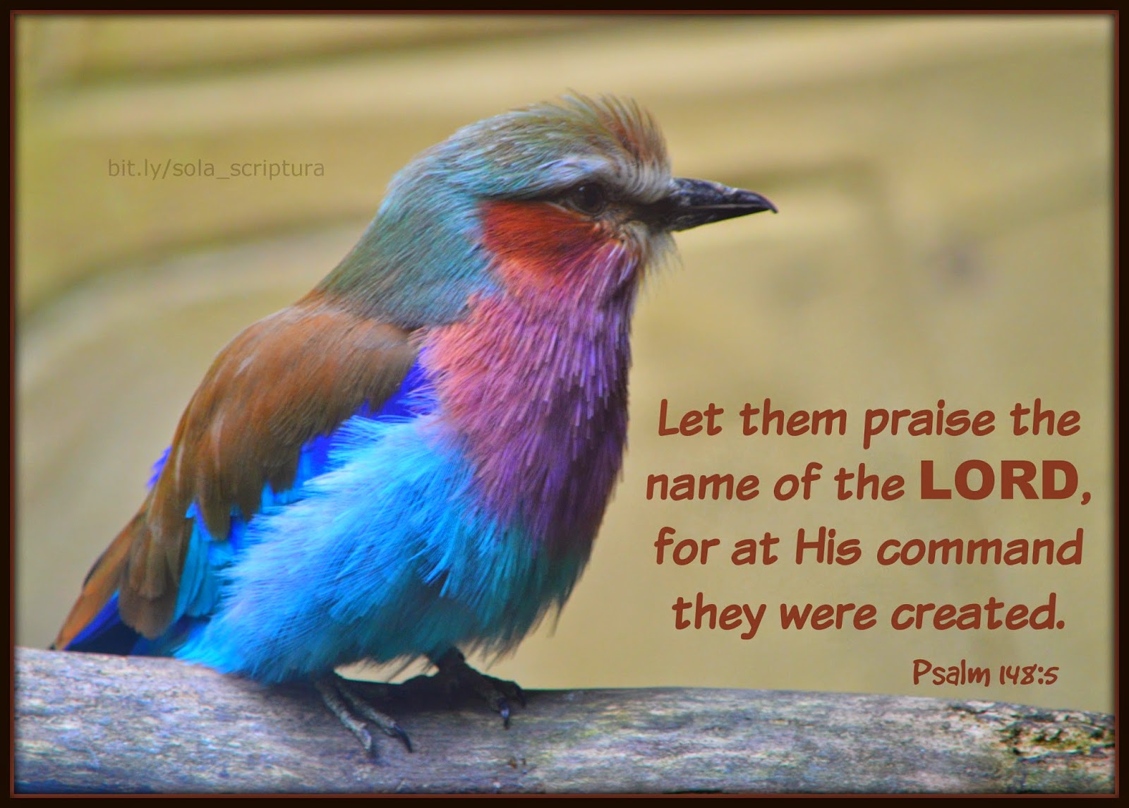 Sola Scriptura Psalm 148 5 psalm-148-3-daily-bible-inspirations