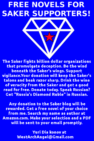 Free Novels (PDF) for Saker Blog Supporters