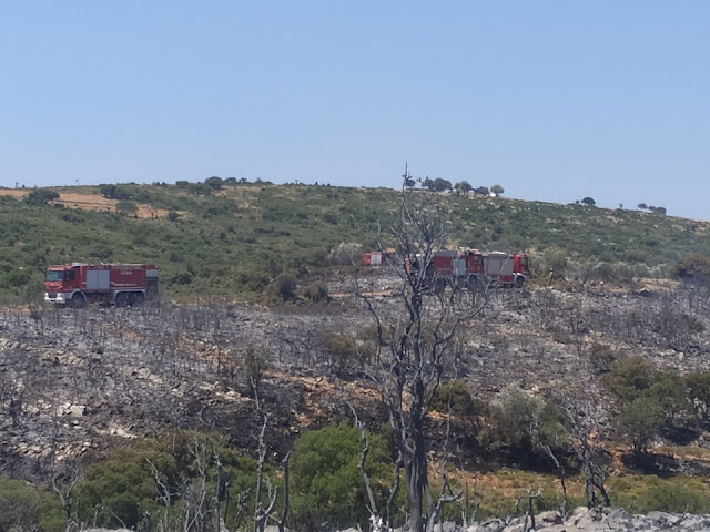 Πυρκαγιά στην Αργολίδα - Υπο έλεγχο η κατάσταση - Παραμένουν όλες οι δυνάμεις για τυχόν αναζωπύρωση