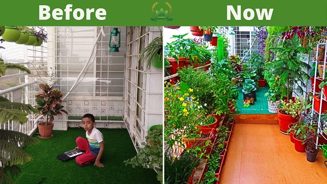 Amrita Bharti's garden