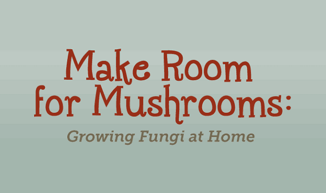 Make Room for Mushrooms Growing Fungi at Home