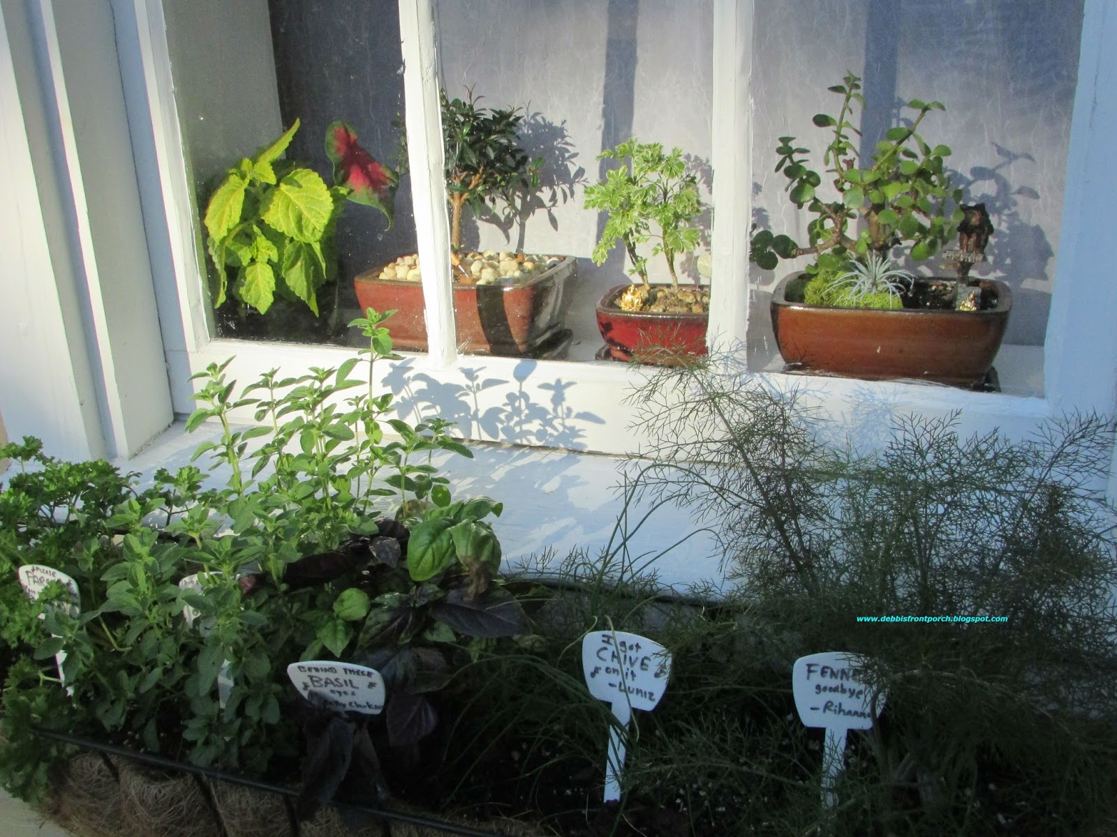 Debbi's Front Porch Herb Garden in the City
