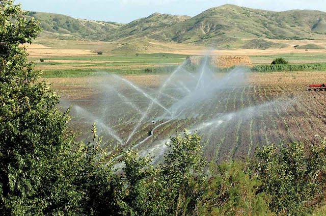 Mit 80 Millionen Euro Deutscher Hilfe, Mazedonische Landwirtschaft auf EU-Beitritt vorbereiten