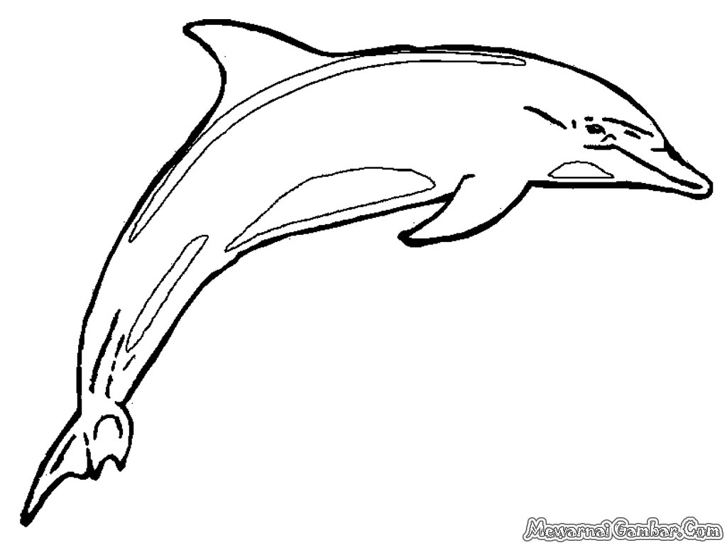 Mewarnai Ikan Lumba-Lumba | Mewarnai Gambar