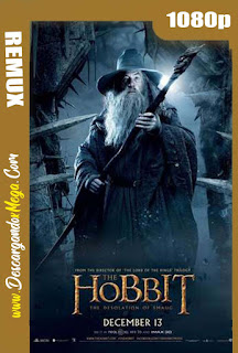  El Hobbit La Desolación de Smaug (2013)