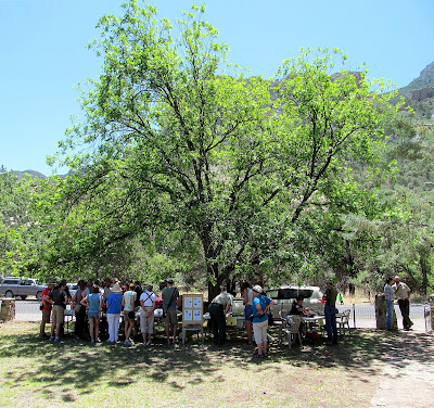 visitors to FOCCC garden party