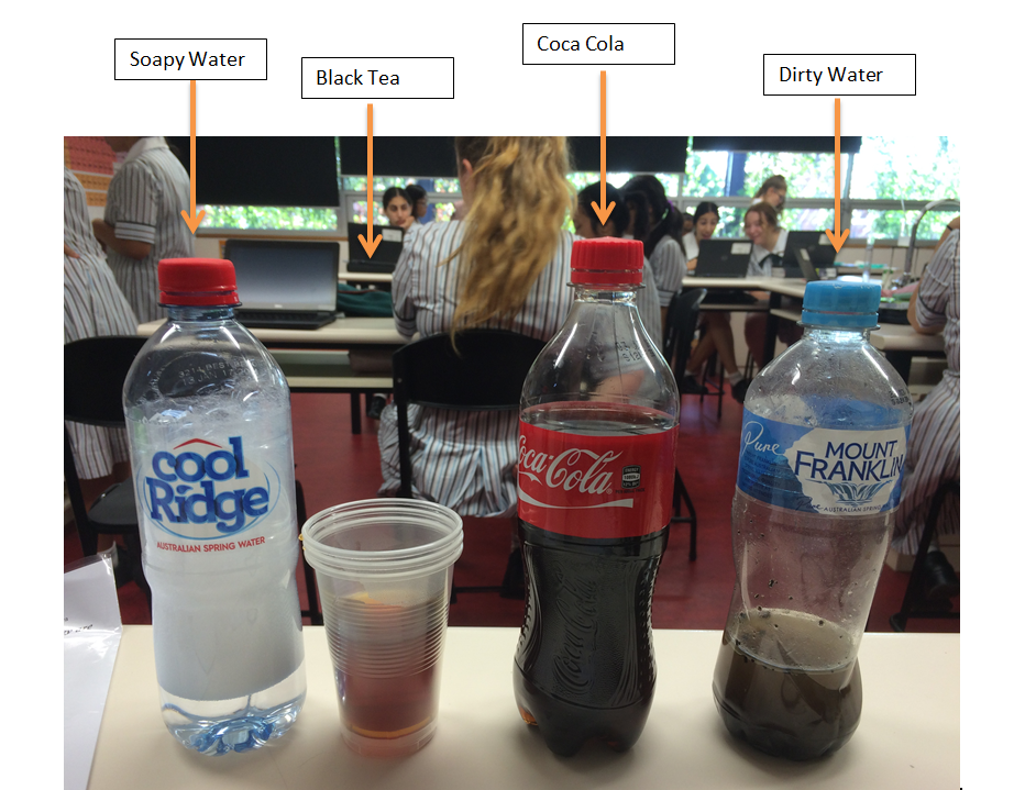 Anna Brett's Science Research Project : Conducting my experiment in class