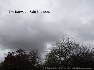 Rescuing Rain Water Between Rain Showers