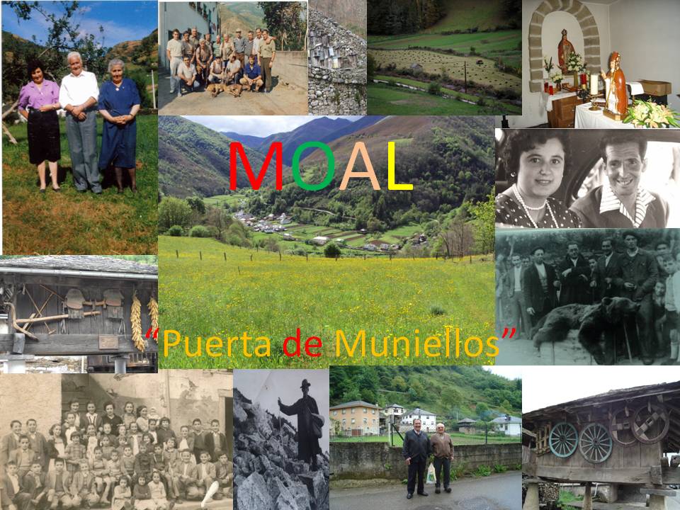 MOAL "Puerta de Muniellos"