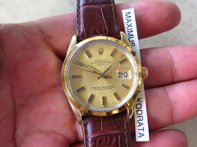 15505 rolex