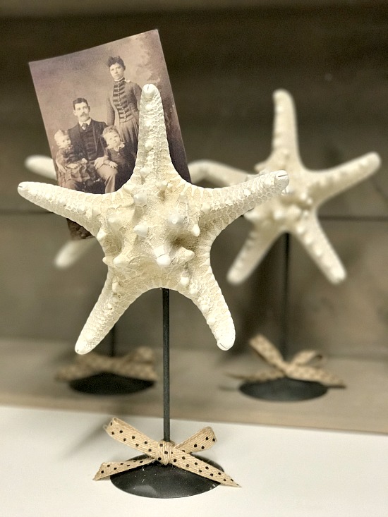 Starfish photo display with bow