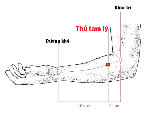 Vị trí huyệt thủ tam lý