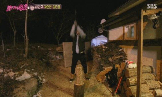 ss4.gif