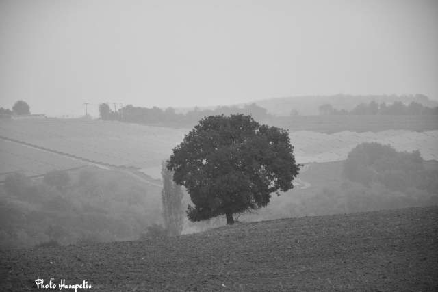 ΒΗΜΑ...τίζοντας: Πρωινές πανέμορφες εικόνες από τον Κολινδρό.. ΒΗΜΑ...τίζοντας: Πρωινές πανέμορφες εικόνες από τον Κολινδρό..