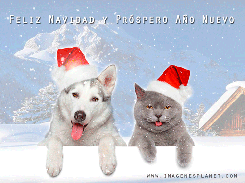 Perro y Gato de Papá Noel con nieve animada para navidad - Imágenes de