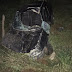 Irmãos ficam feridos após carro atropelar vacas soltas na BA-220
