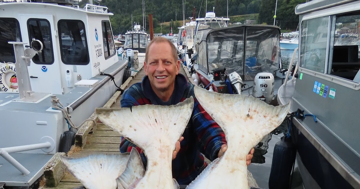 Todds Extreme Fishing Giant august halibut at Sekiu!!!!!