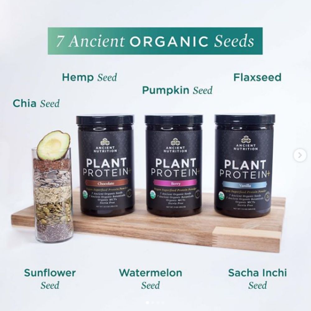 The Supp Plug Ancient Nutrition Plant Protein New Vegan & Vegetarian