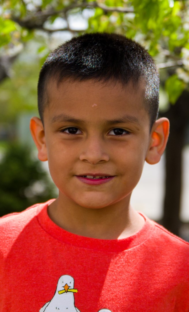 Homedale Angel Walk 2017