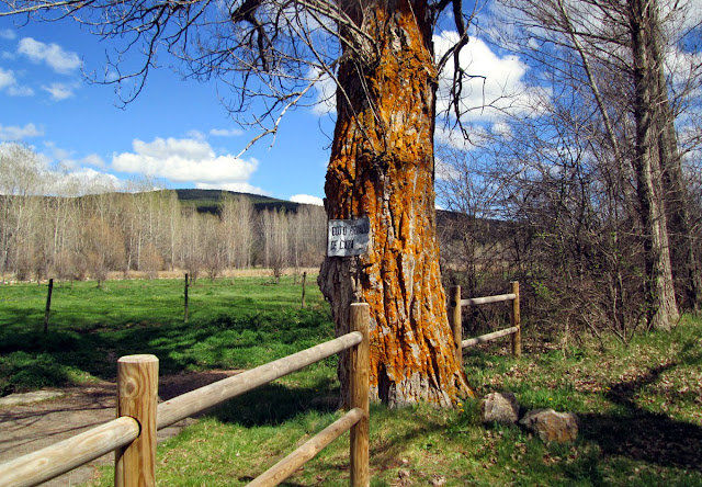 La Virgen de la Vega, Teruel, abril 2014 - Paseos Fotográficos