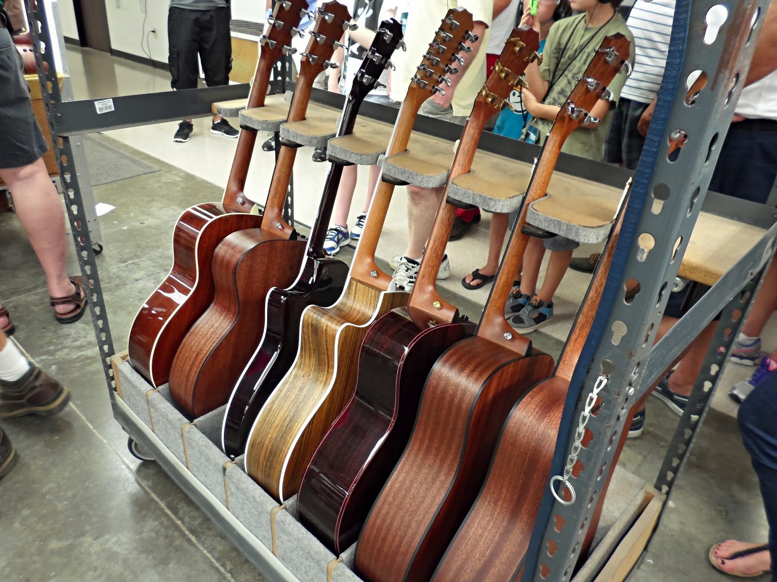 Rockin' it Out Taylor Guitar Factory Tour