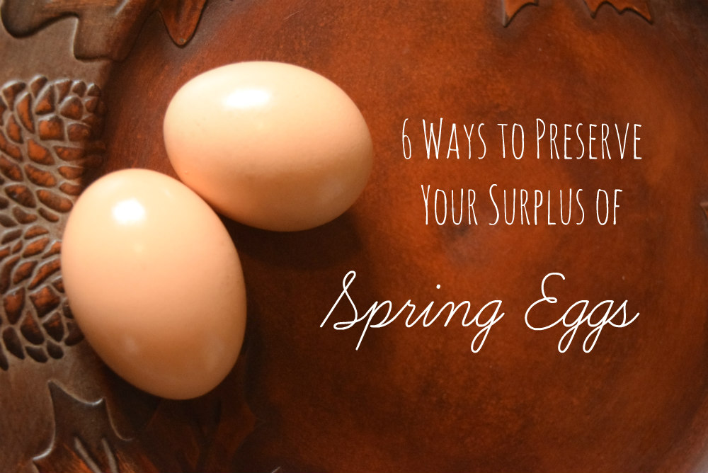 6 Ways to Preserve Eggs Oak Hill Homestead