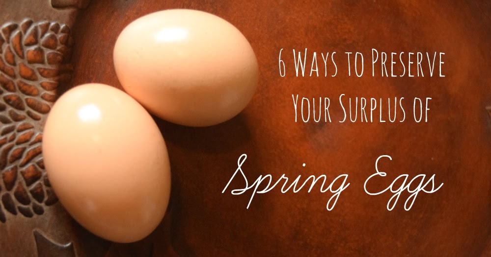 6 Ways to Preserve Eggs Oak Hill Homestead
