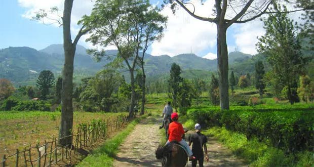 Agro Gunung Mas