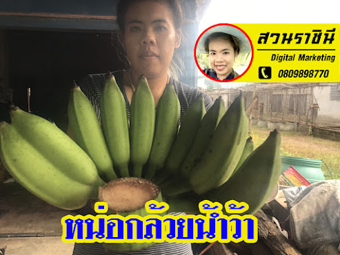 กล้วยซุปเปอร์ยักษ์