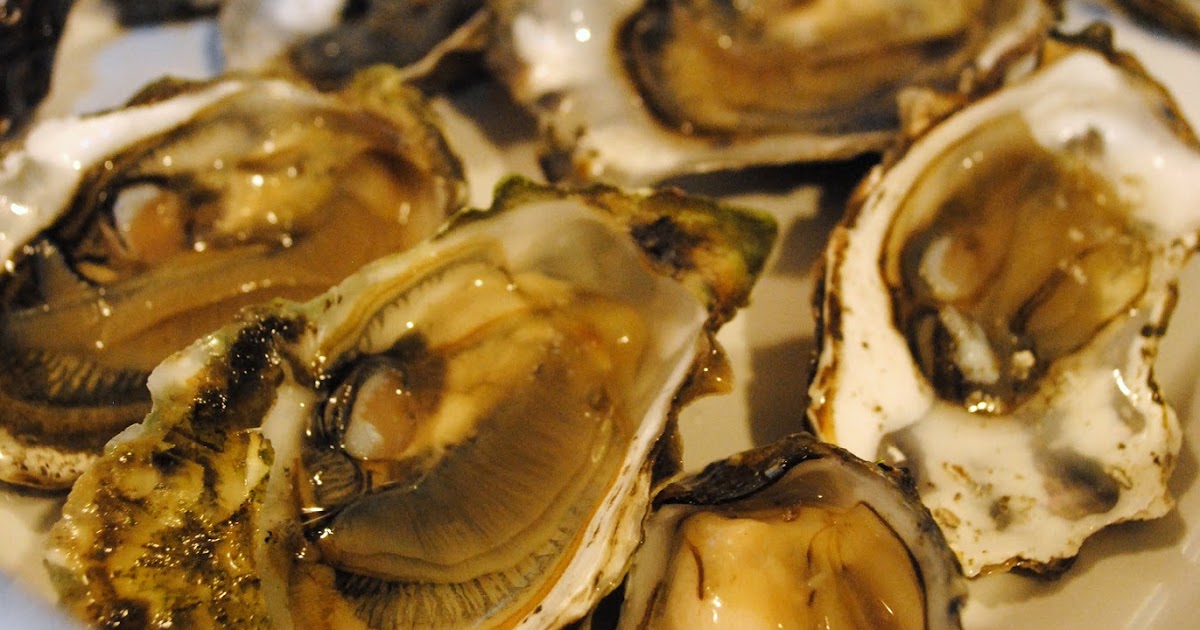Culinary Adventures with Camilla HOW TO Shuck Oysters