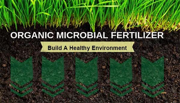 Best biological lawn fertilizer