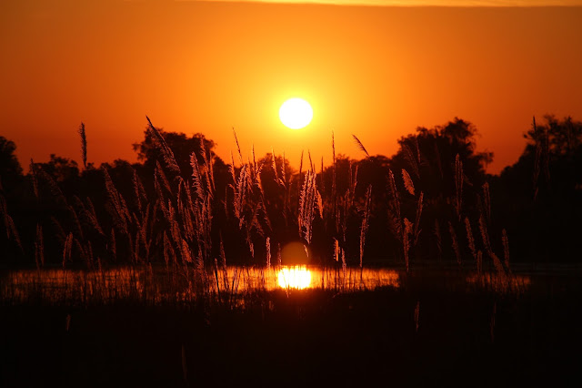VIAGEM DE OVERLAND - Parte 3 - De Windhoek, passando pelo Okavango e Chobe, até às Cataratas de Vitória